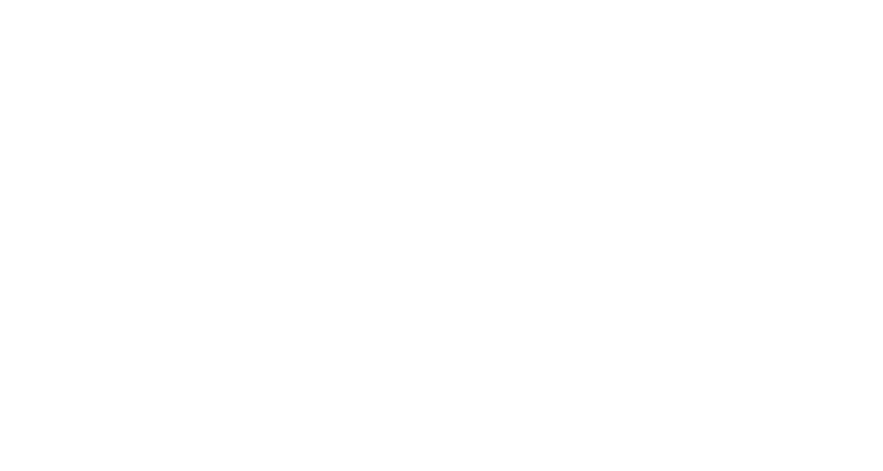 Q-SYS